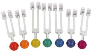 chakras stemvorken healing voor paarden